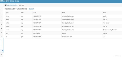 网络与信息安全软件开发 第八天关键漏洞分析与防护