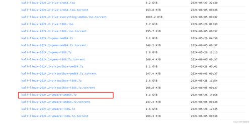 Kali Linux虚拟机配置流程及其在网络与信息安全软件开发中的应用